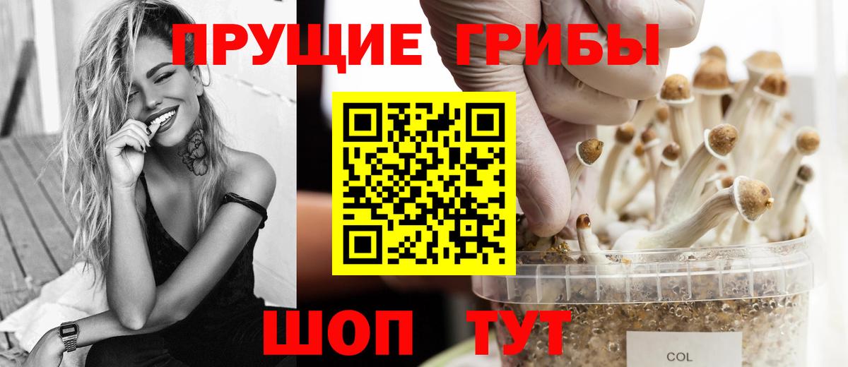 Псилоцибиновые грибы ЛСД  Псилоцибиновые грибы ЛСД  Вход с VPN  Красноярск 